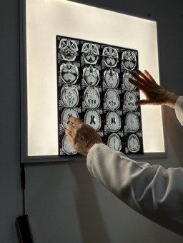 логотипи ширкат