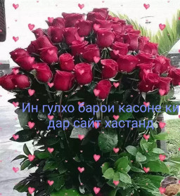 сурати профил