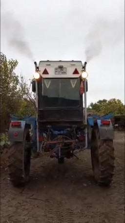 аватар