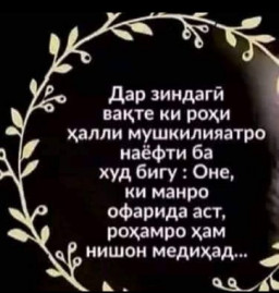 логотипи ширкат