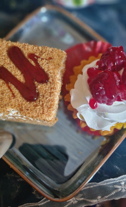 логотипи ширкат