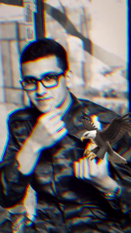 логотипи ширкат