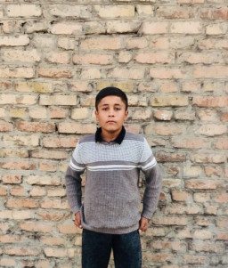 логотипи ширкат